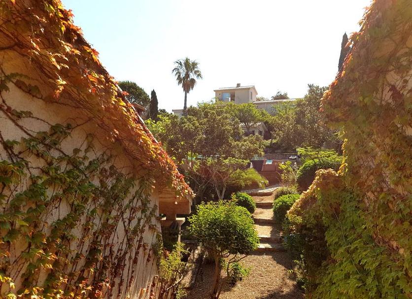 Outdoors view Photo