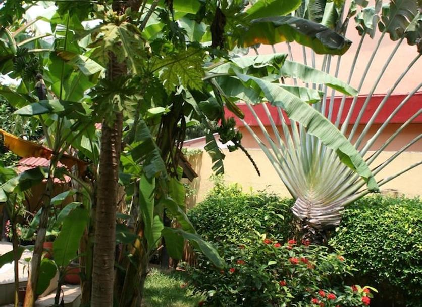 Outdoors view Photo