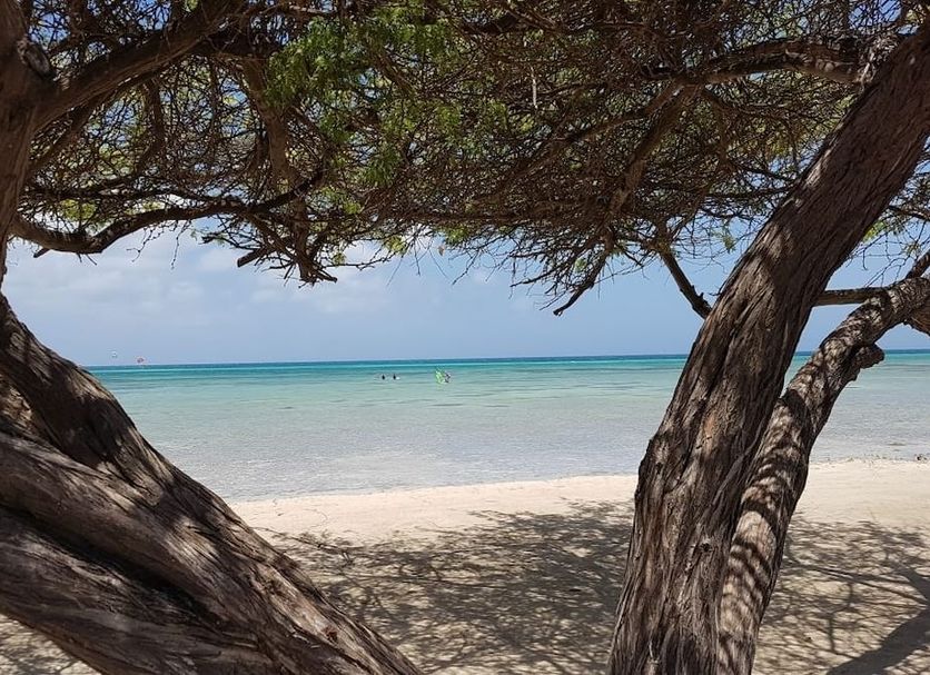 Beach Photo