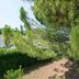 Outdoors view