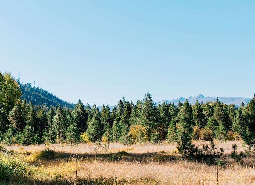 Outdoors view Photo