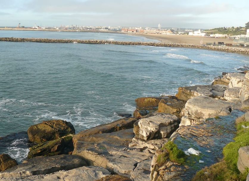Other Photo