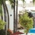 Hotel Mar Azul in Manta: outdoor pool with rock waterfall and tropical palms