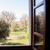 View from Agriturismo Villa La Morina in Cortona of a garden with trees and green lawn through open windows