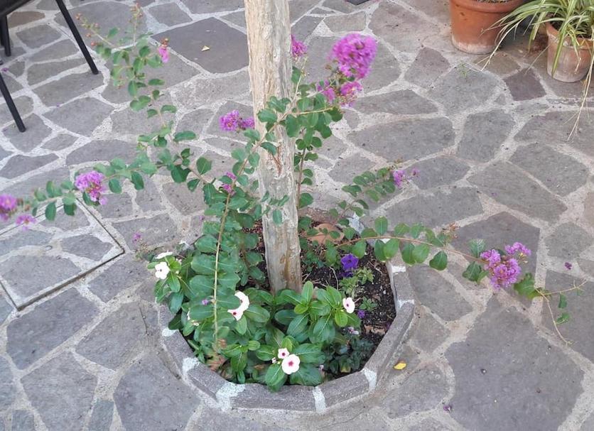 Outdoors view Photo