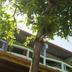 Outdoors view