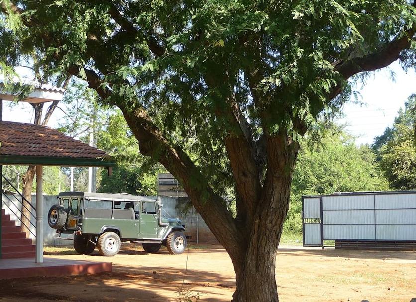 Outdoors view Photo