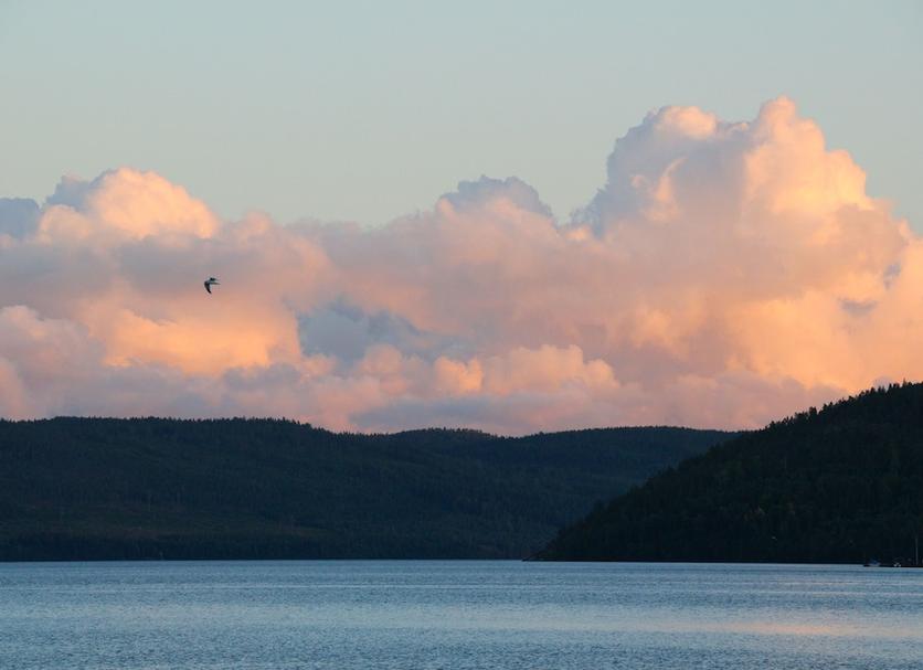 Outdoors view Photo