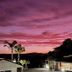Anchor Lodge Motel in Coromandel with a pink sunset sky over palm trees and motel buildings