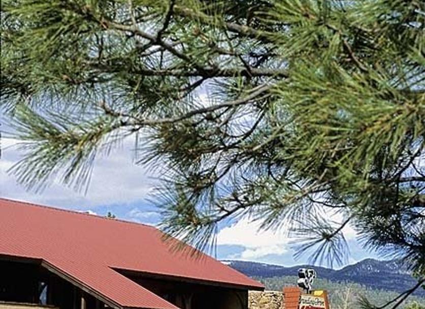 Outdoors view Photo