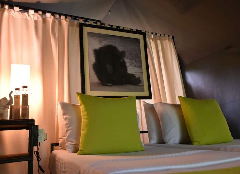 Room amenity Photo