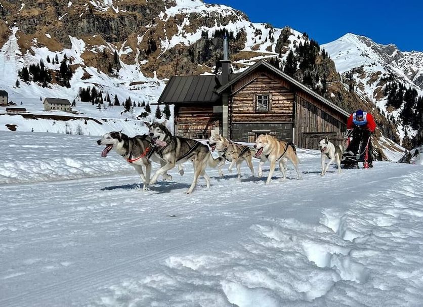 Hotel Lindenhof, Bad Gastein: dog sled team pulling a sled past a rustic cabin in snowy mountains