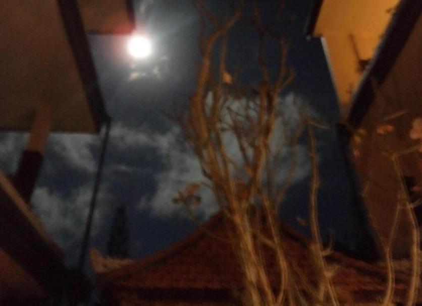 Other Photo