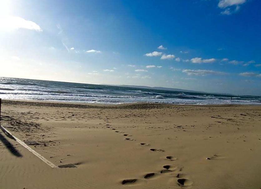 Beach Photo