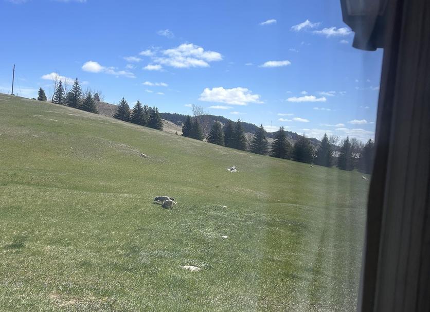 Outdoors view Photo