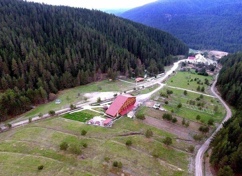 Outdoors view Photo