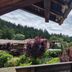 Outdoors view