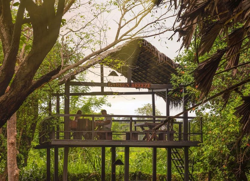 Sigiriya Jungles in Sigiriya: elevated open-air jungle villa with terrace and treetop views