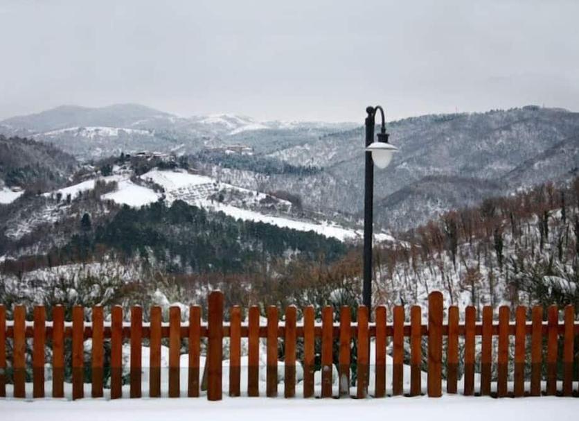 Other Photo