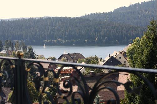 Parkhotel Flora AM Schluchsee - Schluchsee