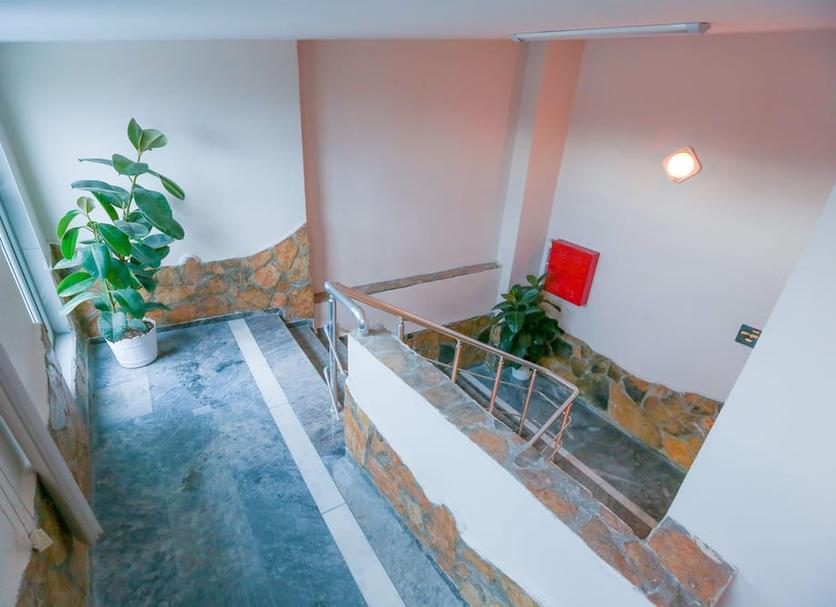 Stairs Photo