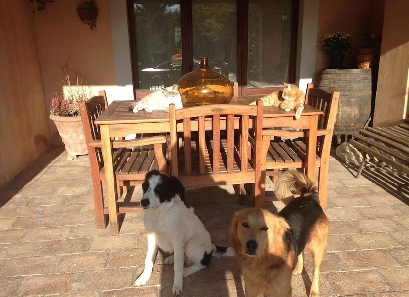 Patio Photo