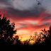 Yellow House B&B in Salado: vivid sunset sky silhouetted by trees