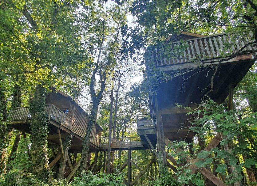 Château De Razay in Céré-la-Ronde, treehouse-style wooden platforms among lush forest greenery
