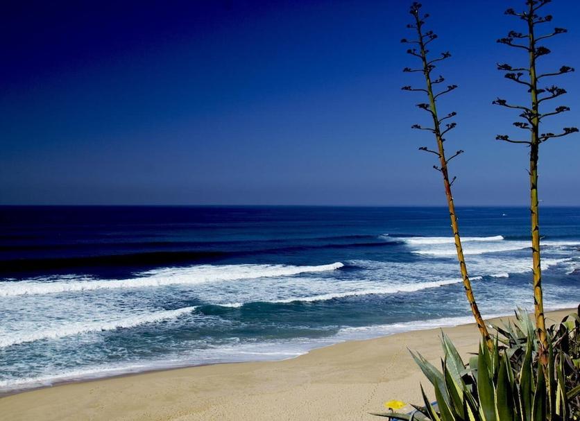 Beach Photo