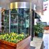 Boutique Princess Hotel in Istanbul entrance with revolving glass door and flower planter