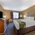 Quality Inn & Suites Westminster Seal Beach guest room with king bed, desk, TV and window