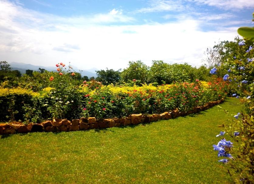 Outdoors view Photo