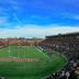 Ginkgo House on Harvard in Cambridge with a large football stadium and crowd under a blue sky