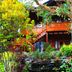 Jambuluwuk Convention Hall & Resort Puncak in Tapos, lush resort building with balcony and garden