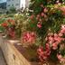 Outdoors view
