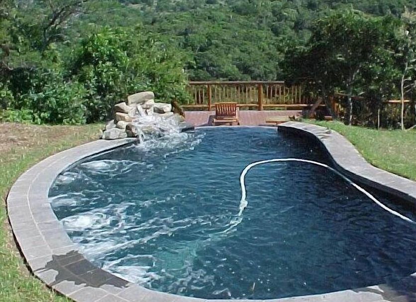 Inkwenkwezi Private Game Reserve in East London: curved outdoor pool with forested hillside view