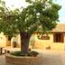 Outdoors view