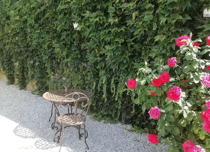 Patio Photo