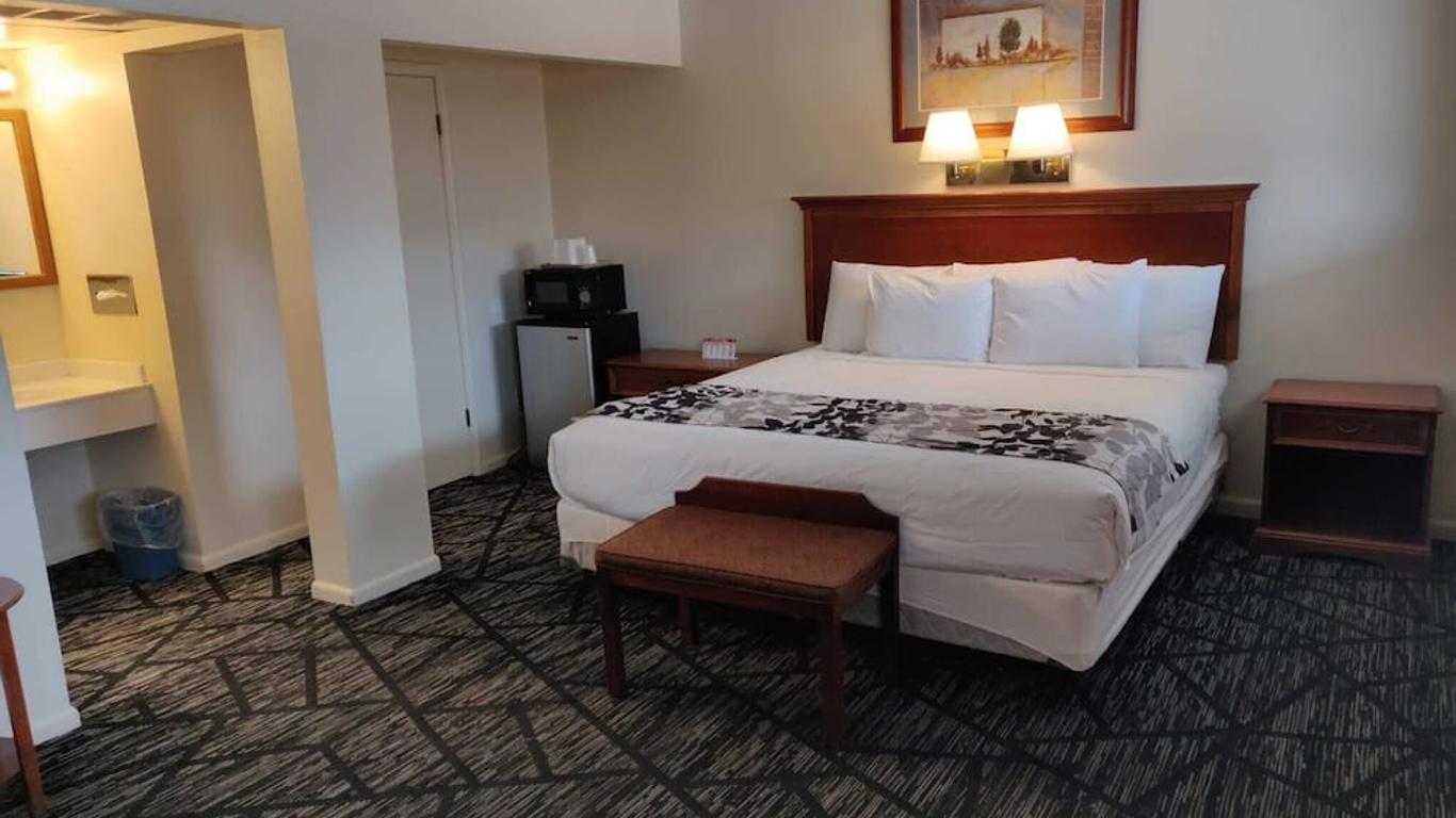 Skyline Motor Inn