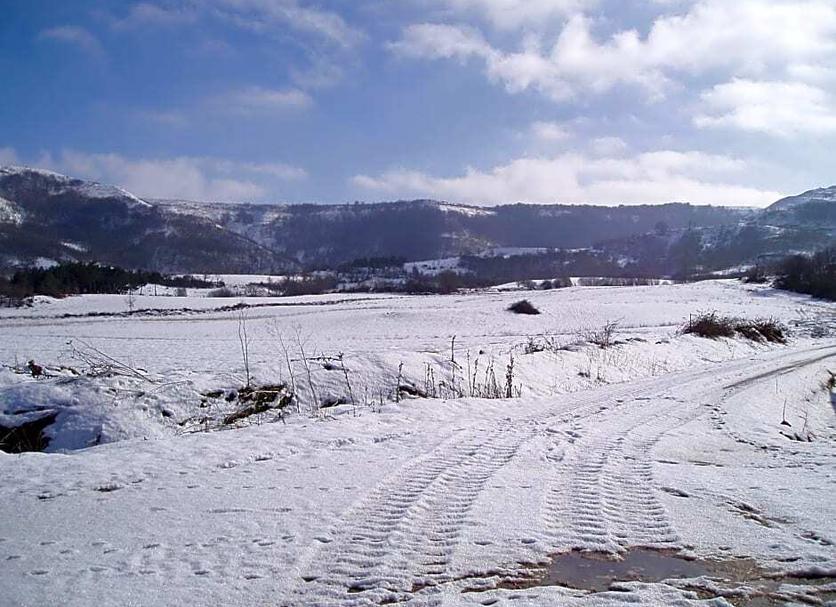 Other Photo