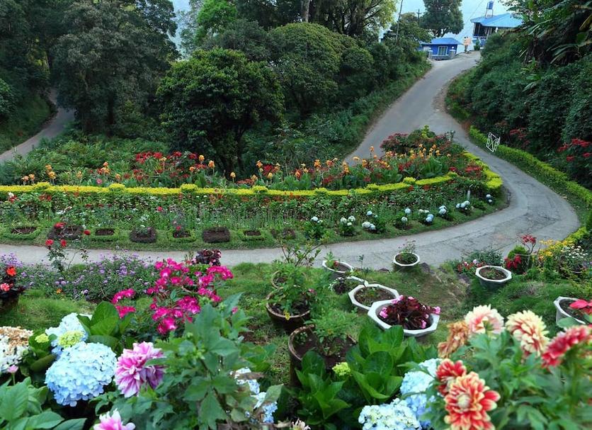 Outdoors view Photo