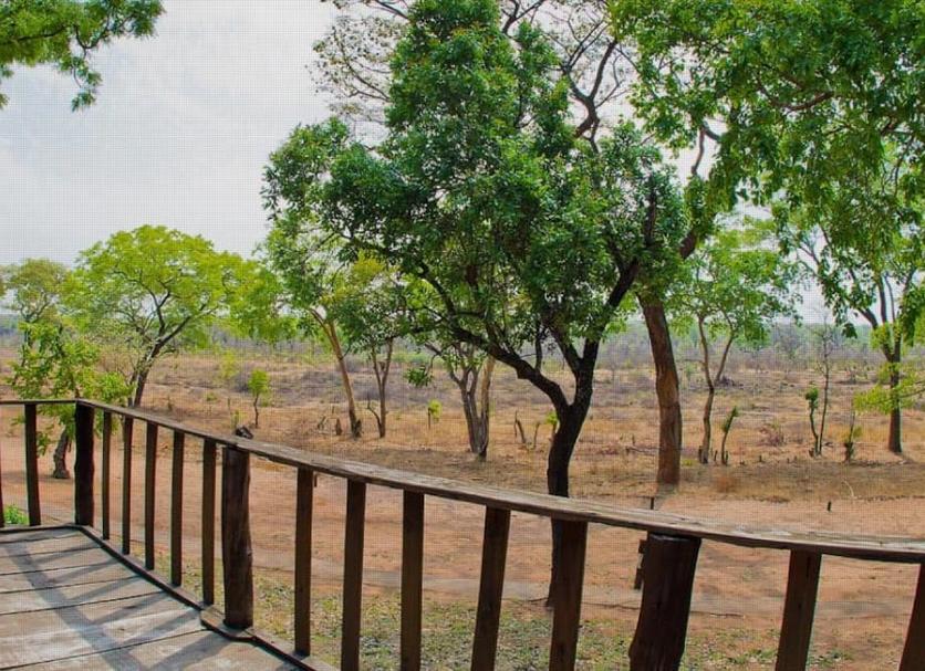 Outdoors view Photo