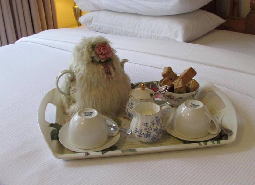 Room amenity Photo