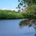 Hotel La Isla in Parrita with a calm river or lagoon bordered by lush green trees