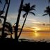 Coconut Beach Resort, Tavewa Island sunset over ocean framed by palm trees and a small boat