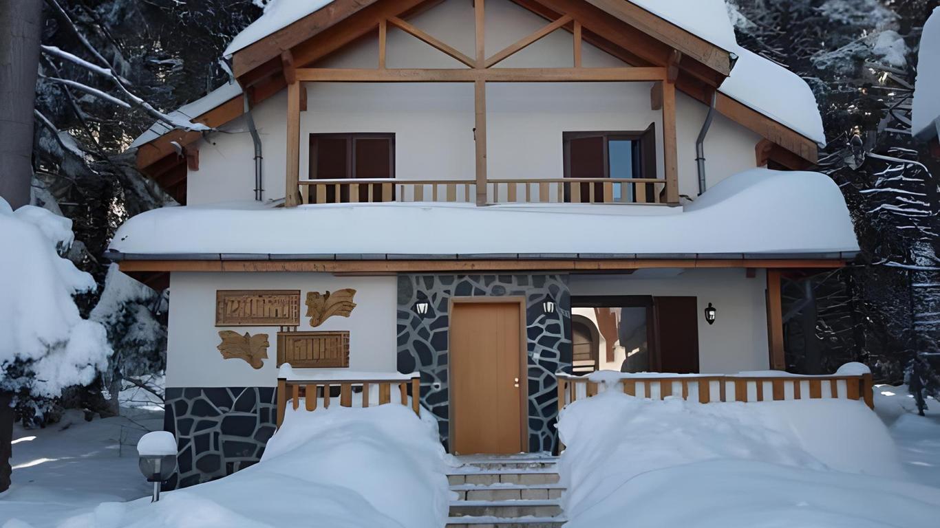 Saint George Borovets Hotel