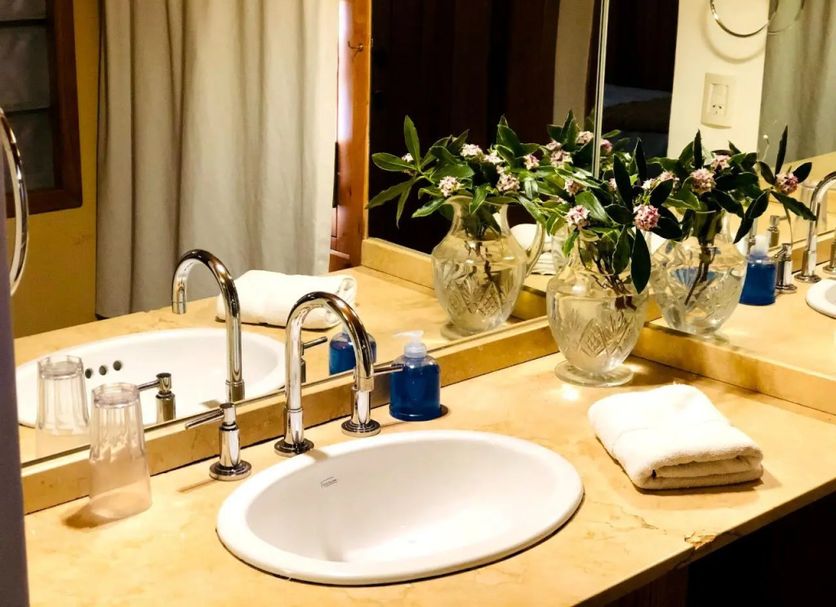 Hosteria La Raclette bathroom sink vanity in San Martín de los Andes with mirror and flowers
