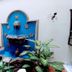 Hotel Armonía Hostal San Salvador courtyard fountain with blue tile wall and lush potted plants