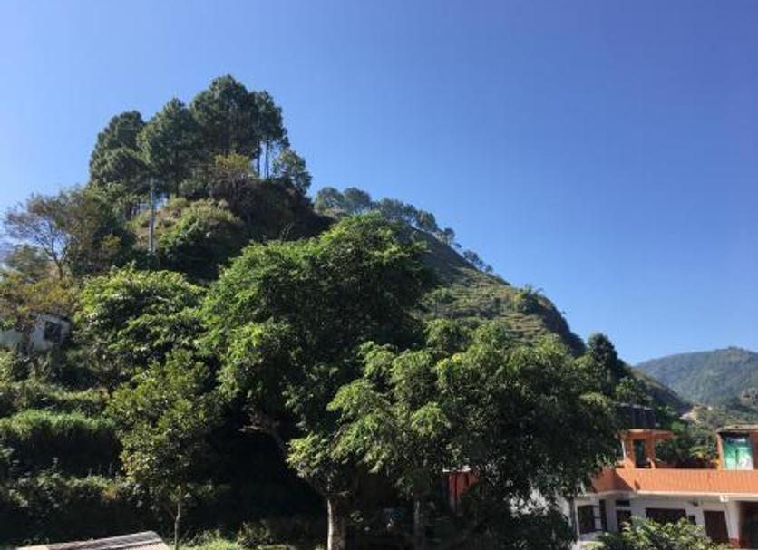 Outdoors view Photo