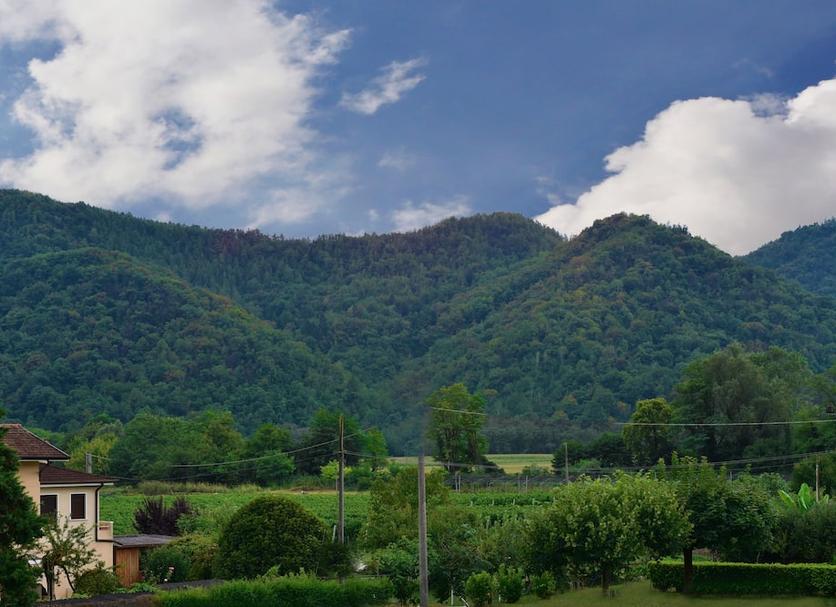Outdoors view Photo
